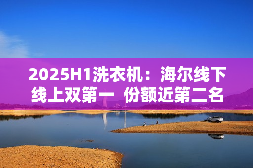 2025H1洗衣机：海尔线下线上双第一  份额近第二名两倍