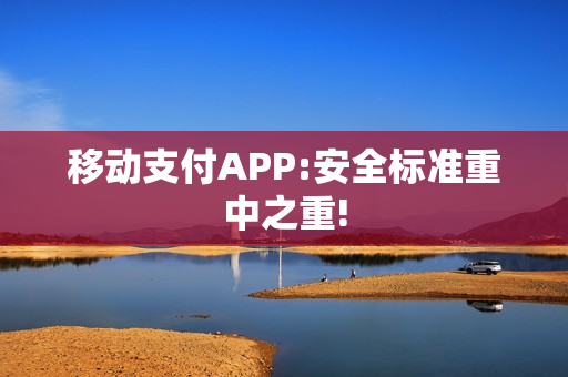 移动支付APP:安全标准重中之重!