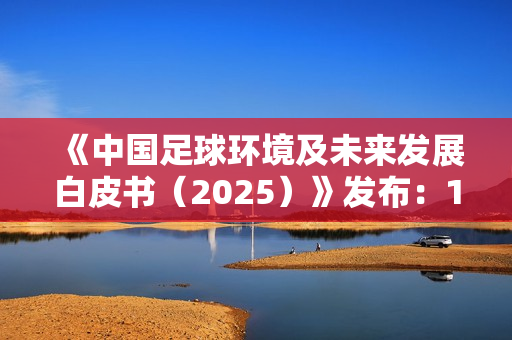 《中国足球环境及未来发展白皮书（2025）》发布：100吋大屏电视成标配