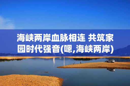 海峡两岸血脉相连 共筑家园时代强音(嗯,海峡两岸)