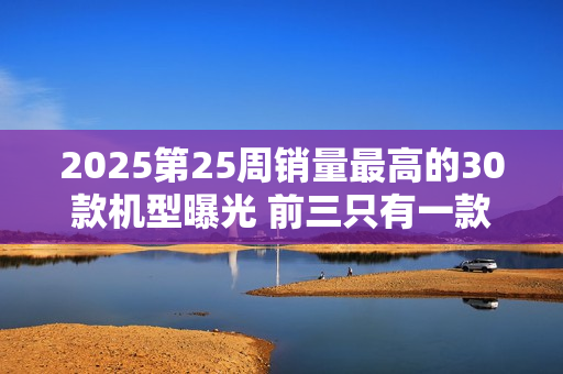 2025第25周销量最高的30款机型曝光 前三只有一款国产