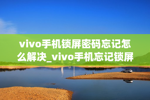 vivo手机锁屏密码忘记怎么解决_vivo手机忘记锁屏密码怎么办