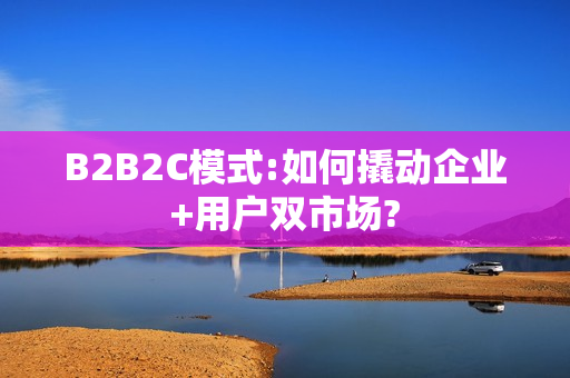 B2B2C模式:如何撬动企业+用户双市场?