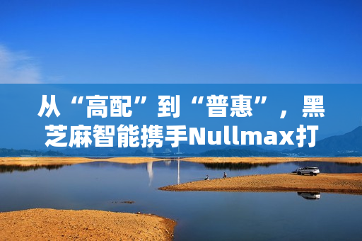 从“高配”到“普惠”，黑芝麻智能携手Nullmax打造辅助驾驶主流量产方案