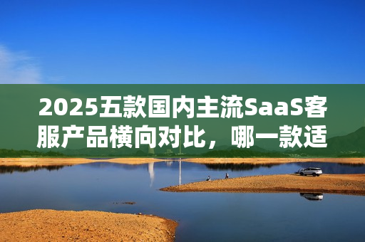 2025五款国内主流SaaS客服产品横向对比，哪一款适合您？
