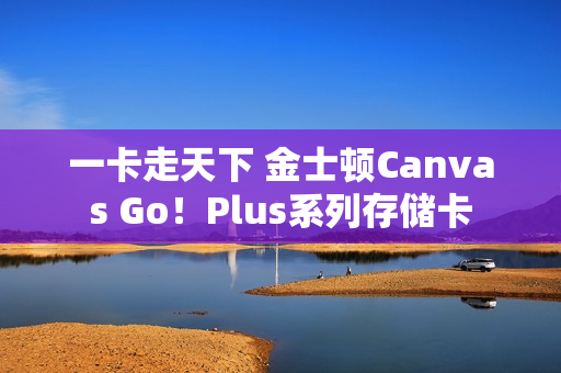 一卡走天下 金士顿Canvas Go！Plus系列存储卡