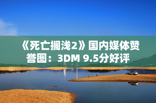 《死亡搁浅2》国内媒体赞誉图：3DM 9.5分好评