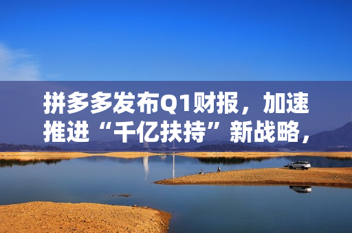 拼多多发布Q1财报，加速推进“千亿扶持”新战略，先商家后平台扶持产业生态