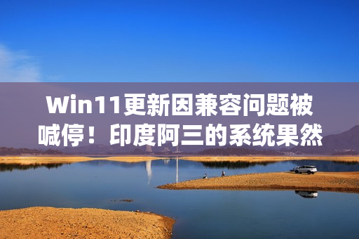 Win11更新因兼容问题被喊停！印度阿三的系统果然不行