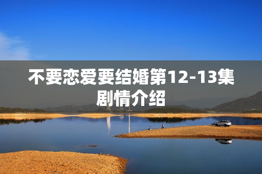 不要恋爱要结婚第12-13集剧情介绍