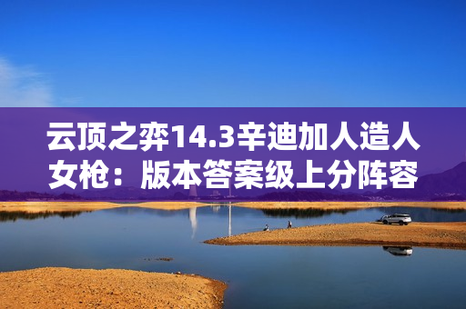 云顶之弈14.3辛迪加人造人女枪：版本答案级上分阵容