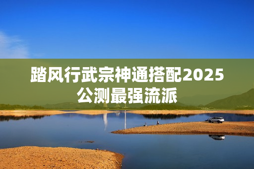 踏风行武宗神通搭配2025公测最强流派