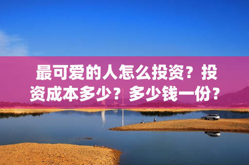  最可爱的人怎么投资？投资成本多少？多少钱一份？ 23/32(最可爱的人怎么形容)