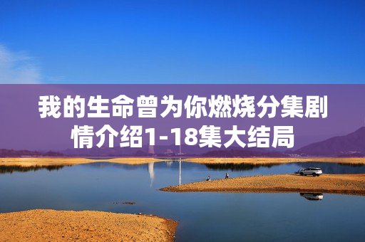 我的生命曾为你燃烧分集剧情介绍1-18集大结局