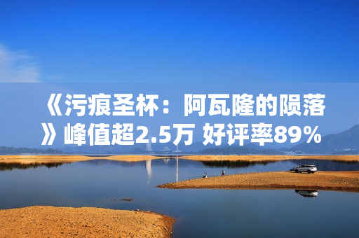 《污痕圣杯：阿瓦隆的陨落》峰值超2.5万 好评率89%