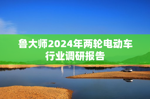 鲁大师2024年两轮电动车行业调研报告