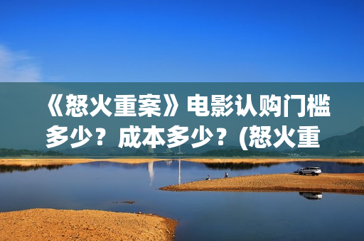 《怒火重案》电影认购门槛多少？成本多少？(怒火重案 完整版)
