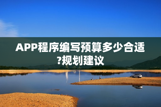 APP程序编写预算多少合适?规划建议