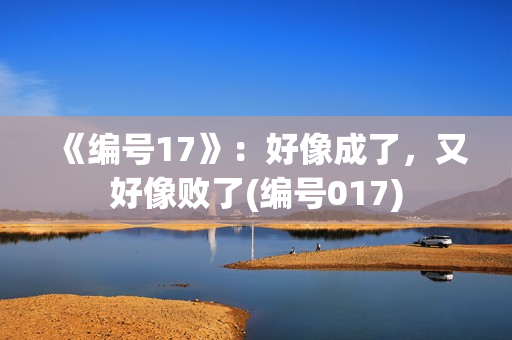《编号17》：好像成了，又好像败了(编号017)