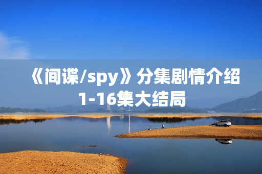 《间谍/spy》分集剧情介绍1-16集大结局