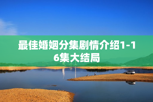 最佳婚姻分集剧情介绍1-16集大结局