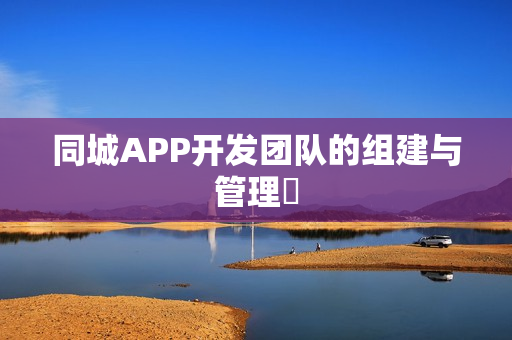 同城APP开发团队的组建与管理‌