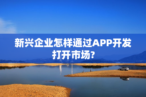 新兴企业怎样通过APP开发打开市场?