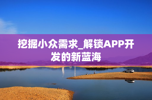挖掘小众需求_解锁APP开发的新蓝海