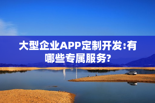 大型企业APP定制开发:有哪些专属服务?