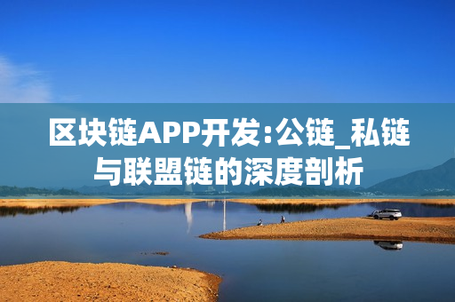 区块链APP开发:公链_私链与联盟链的深度剖析