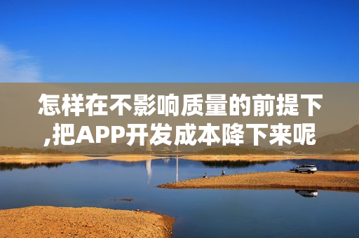 怎样在不影响质量的前提下,把APP开发成本降下来呢?
