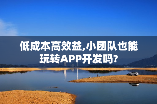 低成本高效益,小团队也能玩转APP开发吗?