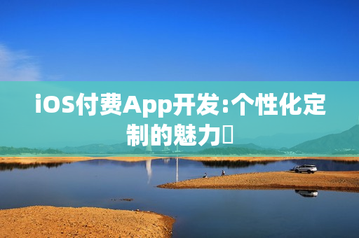 iOS付费App开发:个性化定制的魅力‌