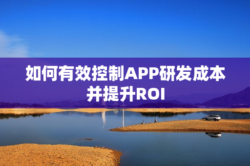 如何有效控制APP研发成本并提升ROI