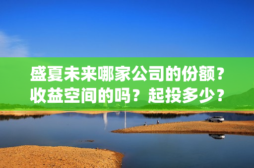 盛夏未来哪家公司的份额？收益空间的吗？起投多少？(盛夏未来king)