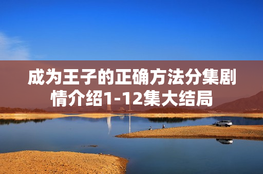 成为王子的正确方法分集剧情介绍1-12集大结局