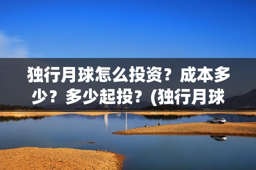 独行月球怎么投资？成本多少？多少起投？(独行月球改编)
