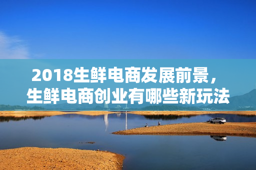 2018生鲜电商发展前景， 生鲜电商创业有哪些新玩法