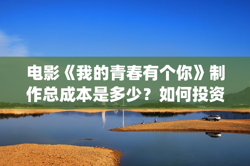 电影《我的青春有个你》制作总成本是多少？如何投资一份呢？投资电影靠谱吗？(电影《我的青春》阿伟)