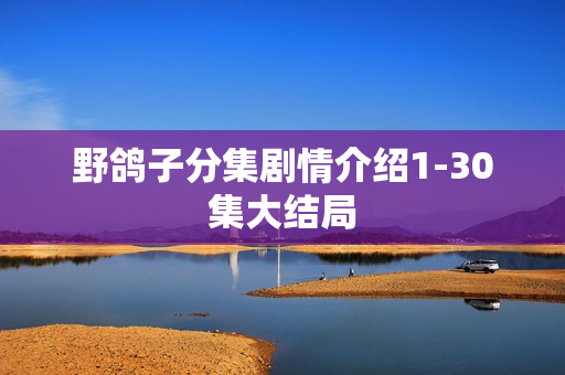 野鸽子分集剧情介绍1-30集大结局