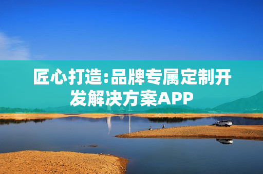 匠心打造:品牌专属定制开发解决方案APP