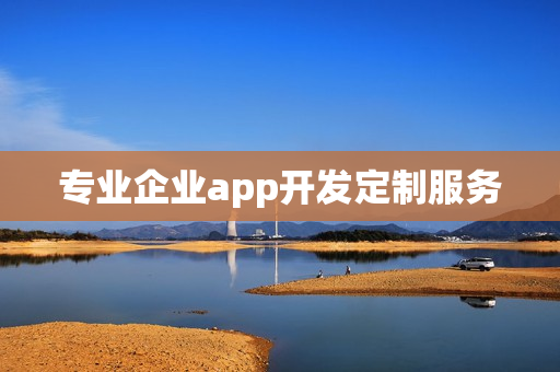 专业企业app开发定制服务