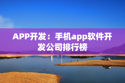APP开发：手机app软件开发公司排行榜
