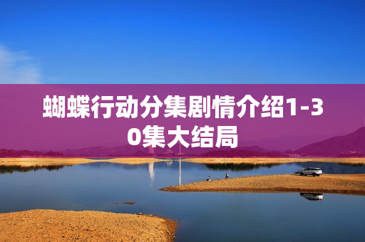 蝴蝶行动分集剧情介绍1-30集大结局