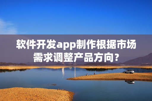 软件开发app制作根据市场需求调整产品方向？
