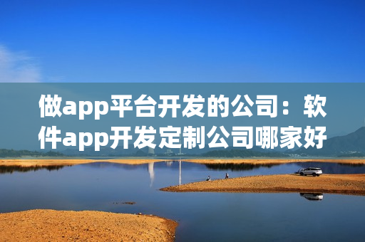 做app平台开发的公司：软件app开发定制公司哪家好？