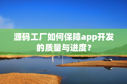 源码工厂如何保障app开发的质量与进度？