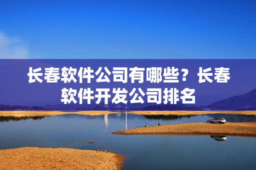 长春软件公司有哪些？长春软件开发公司排名