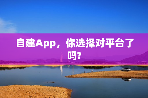 自建App，你选择对平台了吗?