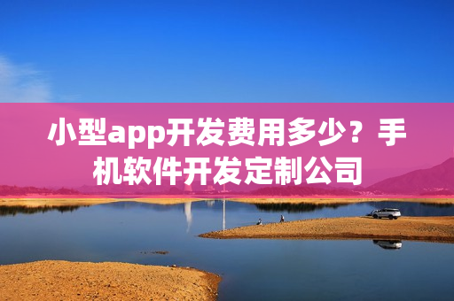 小型app开发费用多少？手机软件开发定制公司